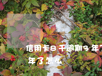 信用卡8千逾期3年了-信用卡8千逾期3年了怎么辦
