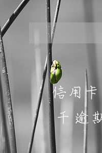 信用卡8千逾期了幾個月來抓人-信用卡8千逾期了幾個月來抓人怎么辦