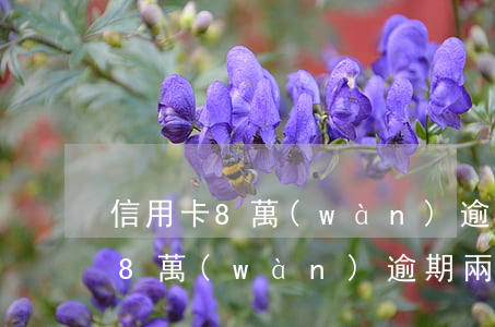 信用卡8萬(wàn)逾期8年(我信用卡欠8萬(wàn)逾期兩年)