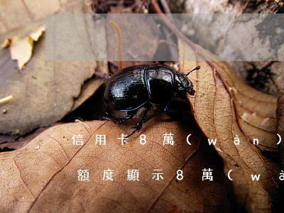信用卡8萬(wàn)額度能透支嗎(信用卡額度顯示8萬(wàn)只有2萬(wàn))