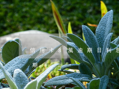 信用卡8萬逾期日利息多少(信用卡8塊錢逾期)