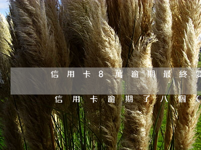 信用卡8萬逾期最終要還多少錢(5000的信用卡逾期了八個(gè)月一共要還多少)