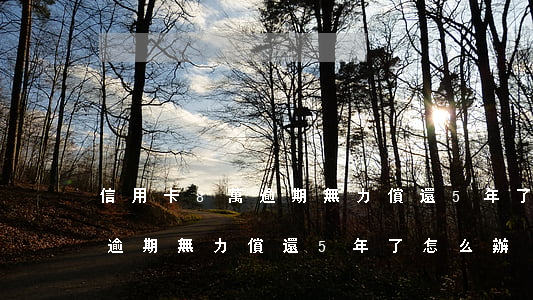 信用卡8萬逾期無力償還5年了(信用卡8萬逾期無力償還5年了怎么辦)