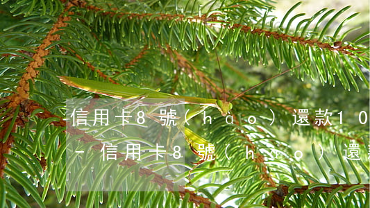 信用卡8號(hào)還款10還算逾期嗎-信用卡8號(hào)還款10號(hào)還的話算逾期嗎有利息嗎