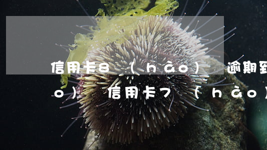 信用卡8號(hào)還逾期到9號(hào)還(信用卡7號(hào)到期10號(hào)還逾期了嗎)