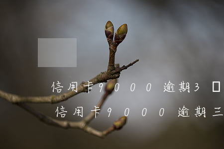 信用卡9000逾期3個(gè)月后果-信用卡9000逾期三個(gè)月會(huì)如何?