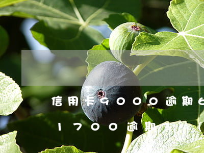 信用卡9000逾期6個(gè)月（信用卡1700逾期3個(gè)月）