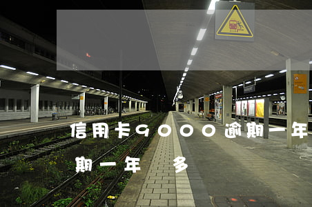 信用卡9000逾期一年(信用卡1000逾期一年還多錢)