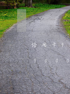 信用卡9000逾期十年要還多少-信用卡9000逾期十年要還多少利息