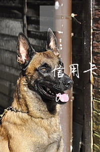 信用卡9000逾期半年(信用卡逾期7000)