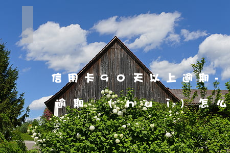 信用卡90天以上逾期-信用卡90天以上逾期會(huì)怎么樣