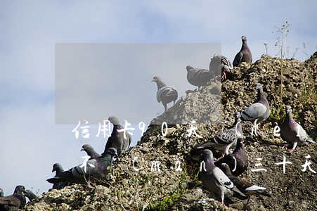 信用卡90天內(nèi)逾期（信用卡逾期不滿(mǎn)三十天）