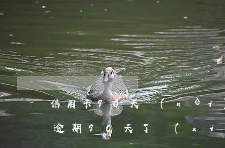 信用卡90天內(nèi)逾期銷卡(信用卡逾期90天了,現(xiàn)在慢慢還可以嗎)