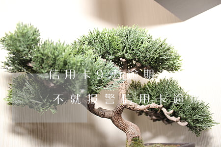 信用卡9万逾期3个月封卡了 让我全额还 要不就报警（信用卡逾期5天会封卡吗）