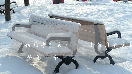 信用卡9天忘記還了（信用卡逾期9年怎么談停息還本）