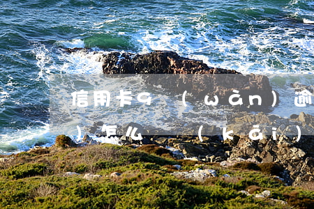 信用卡9萬(wàn)逾期一年會(huì)怎么樣開(kāi)庭后費(fèi)用是多少（信用卡9元逾期怎么辦）