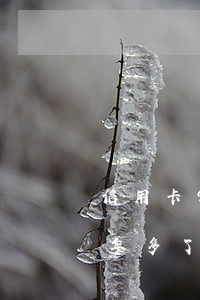 信用卡9萬逾期3期后果(信用卡3萬逾期一年多了)