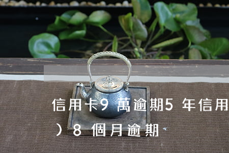 信用卡9萬逾期5年(信用卡5年內(nèi)8個月逾期)