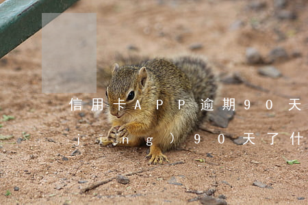 信用卡APP逾期90天(信用卡逾期已經(jīng)90天了,什么時候會執(zhí)行)