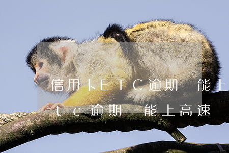 信用卡ETC逾期還能上高速嗎-信用卡etc逾期還能上高速嗎現(xiàn)在