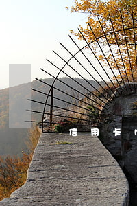 信用卡M1逾期率(信用卡逾期是是什么意思)