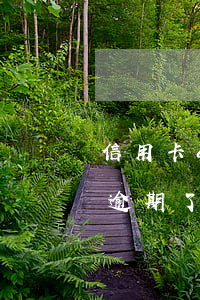 信用卡app上顯示逾期5天(沒注意信用卡逾期了)