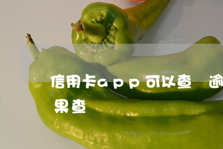 信用卡app可以查詢逾期嗎（信用卡逾期后果查詢）