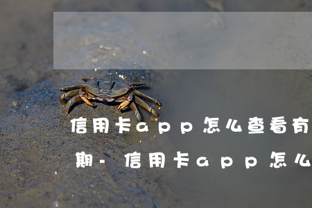 信用卡app怎么查看有沒(méi)有逾期-信用卡app怎么查看有沒(méi)有逾期記錄