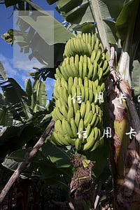 信用卡app怎么查詢逾期記錄(哪里可以查信用卡逾期)