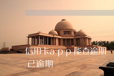 信用卡app能查逾期嗎(信用卡app顯示已逾期)
