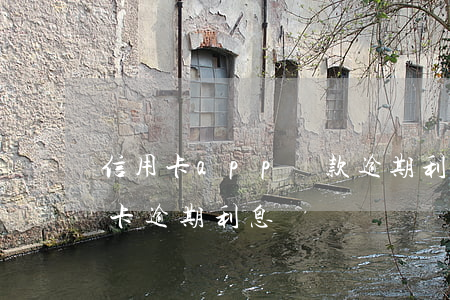 信用卡app貸款逾期利息多少(各銀行信用卡逾期利息)