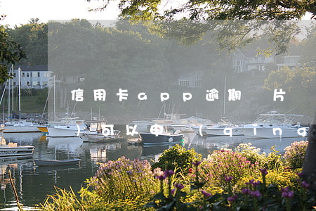 信用卡app逾期圖片(軟件逾期過(guò)可以申請(qǐng)信用卡嗎)