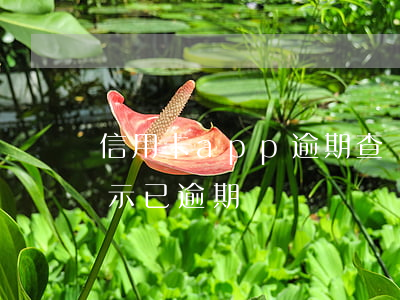 信用卡app逾期查詢方法(信用卡app顯示已逾期)