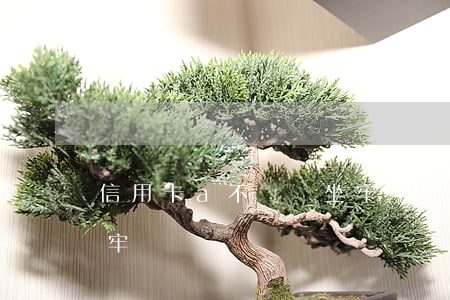 信用卡a不還會坐牢嗎(銀行信用卡不還會坐牢嗎)
