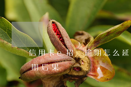 信用卡e招貸逾期怎么延期(信用卡e招貸逾期后果)