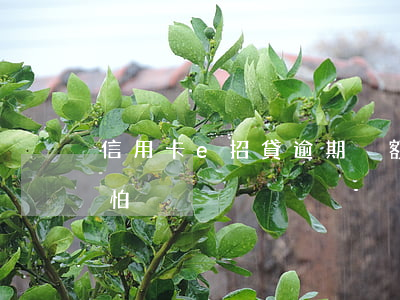 信用卡e招貸逾期沒額度(e招貸逾期有多可怕)