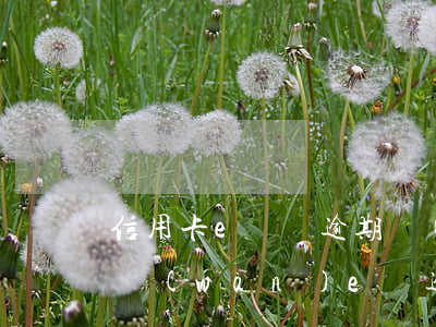 信用卡e額貸逾期會(huì)怎么樣 欠了萬(wàn)e貸逾期了