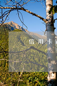信用卡m1单一般逾期几天(M1 逾期率)