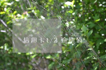 信用卡t2逾期值