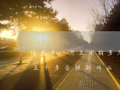 信用卡一万五逾期多久会被起诉(信用卡逾期五千多会被起诉么)
