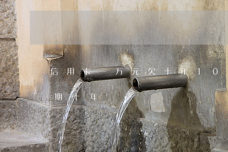 信用卡一万元欠十年(10000的信用卡逾期十年)