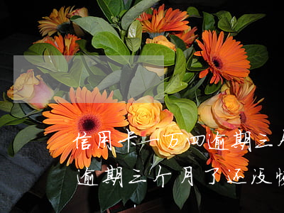信用卡一万四逾期三个月了-信用卡一万四逾期三个月了还没恢复