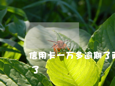 信用卡一万多逾期了两年（信用卡一万多逾期了）