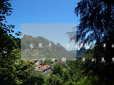 信用卡一万逾期一年利息多少合适-信用卡一万逾期一年利息多少合适呢