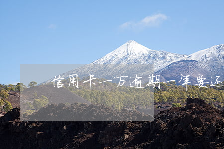 信用卡一万逾期一年要还多少