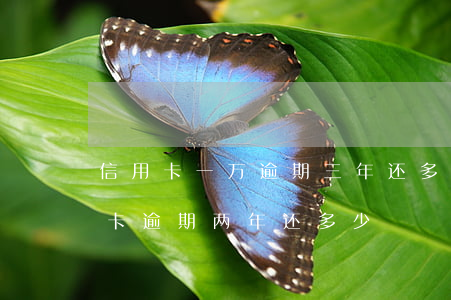 信用卡一万逾期三年还多少(3000的信用卡逾期两年还多少)