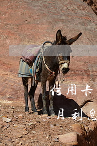 信用卡一万逾期两个月(信用卡一万逾期两个月利息多少)