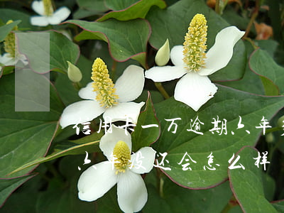 信用卡一万逾期六年多-欠银行信用卡一万六年没还会怎么样