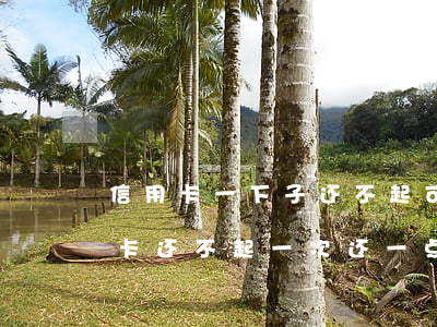 信用卡一下子还不起可以分期还吗-欠信用卡还不起一次还一点可以吗?