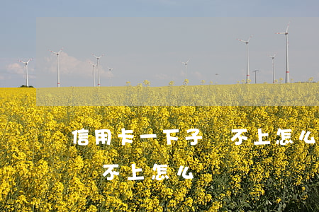信用卡一下子還不上怎么辦-信用卡一下子還不上怎么辦